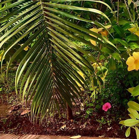 Stan-Inn, North Goa, Vagator, With Strong Wifi,Free Private Parking & Kitchen, Can Cook Where You Stay Exterior foto