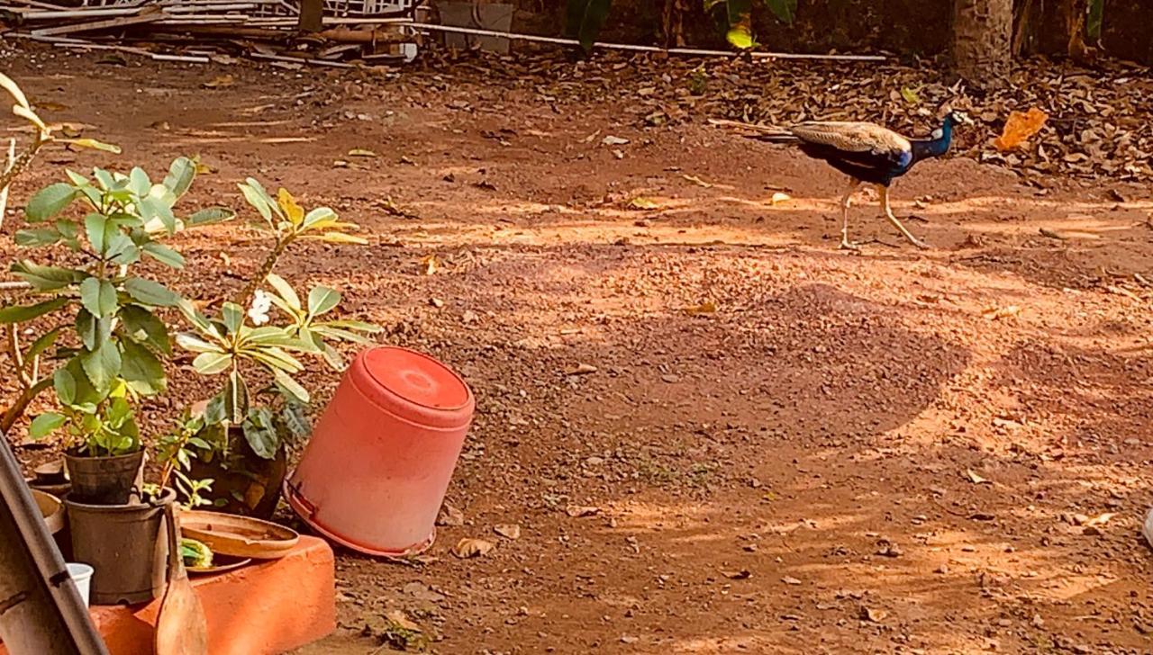 Stan-Inn, North Goa, Vagator, With Strong Wifi,Free Private Parking & Kitchen, Can Cook Where You Stay Exterior foto